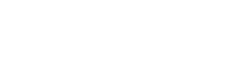 NIC Design